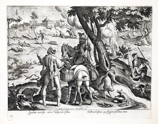 Déloger des renards noirs de leurs terriers, illustration tirée de «Venationes, Ferarum, Avium, Piscium» (De la chasse : bêtes sauvages, oiseaux, poissons), gravée par Jan Collaert (1566-1628), publiée par Phillipus Gallaeus